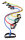 Dittmann Body-Tubes Level 4 (extra schwer)