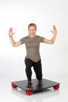 Flow Perfect Indoor Bike