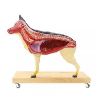 Modell Schäferhund 11-tlg.