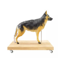 Modell Schäferhund 11-tlg.